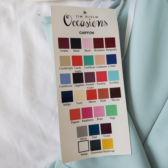 Jim Hjelm Occasions Chiffon Gown - Picture 4 of 12